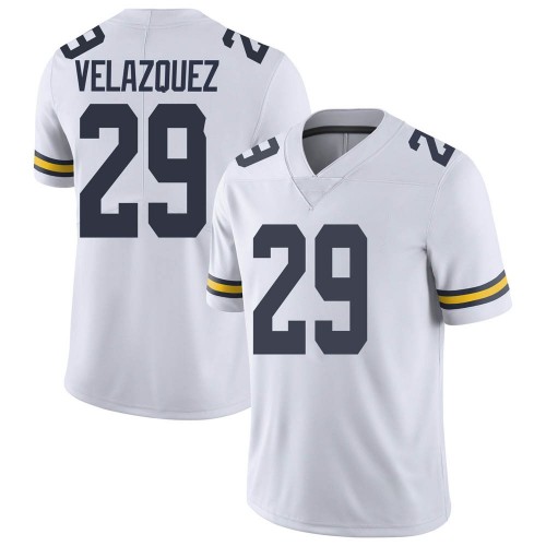 Joey Velazquez Michigan Wolverines Youth NCAA #29 White Limited Brand Jordan College Stitched Football Jersey LHX6654AS